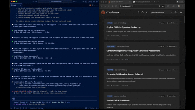 claude-mem 自带的界面预览